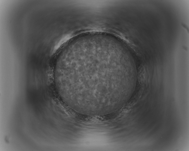 X0000103901255200809191230