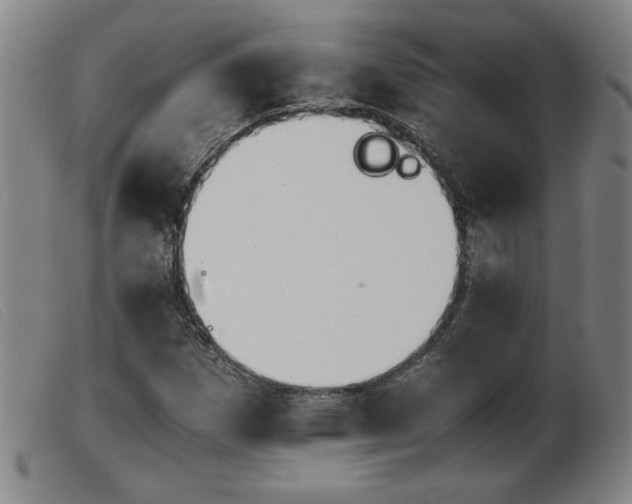 X0000103901257200809191230