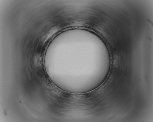 X0000103901258200809191230