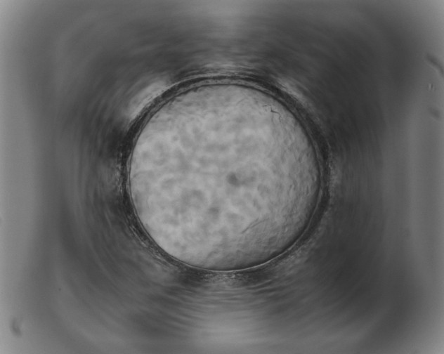 X0000103901259200809191230
