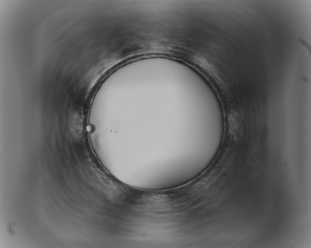 X0000103901260200809191230