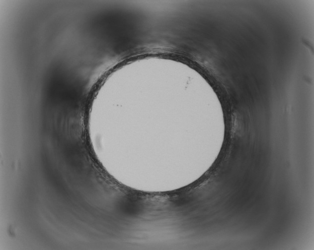 X0000103901261200809191230