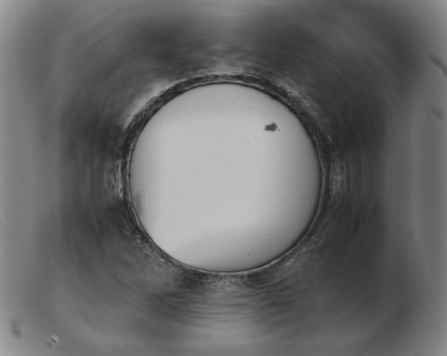 X0000103901262200809191230