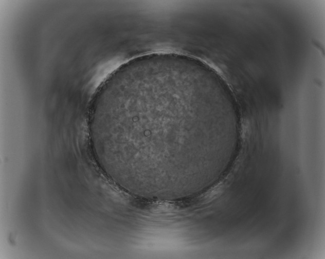 X0000103901263200809191230