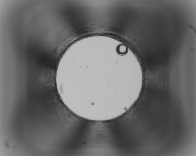 X0000103901265200809191230