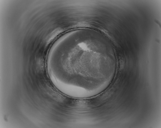 X0000103901266200809191230