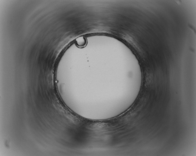 X0000103901268200809191230