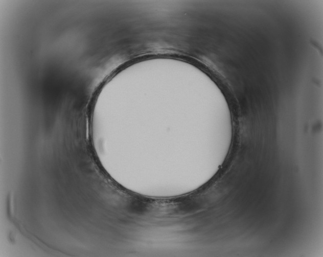X0000103901269200809191230
