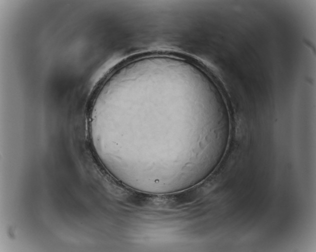 X0000103901271200809191230