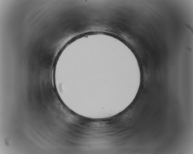 X0000103901272200809191230