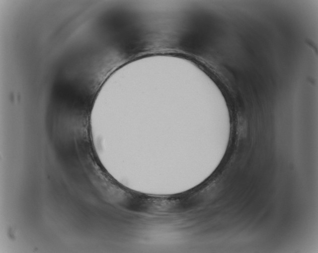X0000103901273200809191230