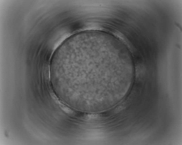 X0000103901274200809191230