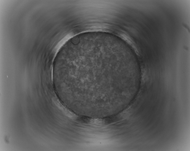X0000103901275200809191230