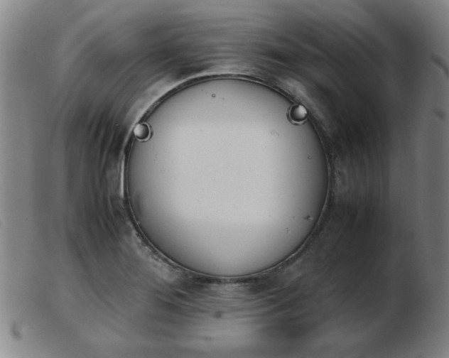 X0000103901276200809191230