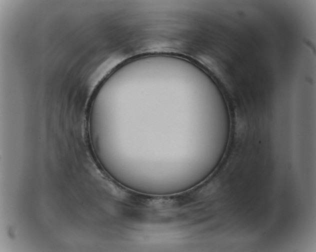 X0000103901277200809191230