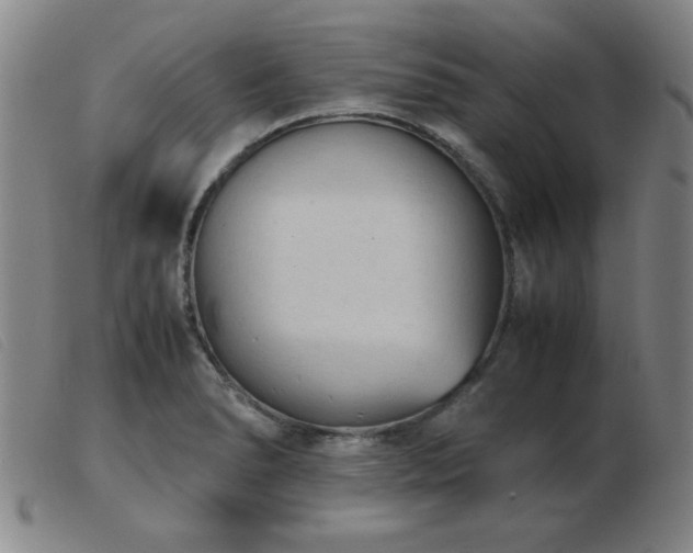 X0000103901278200809191230