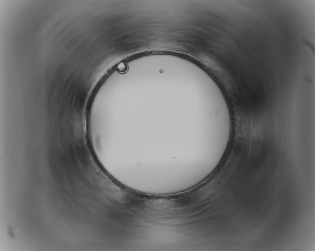 X0000103901280200809191230