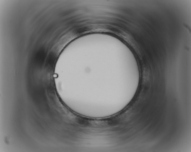X0000103901281200809191230