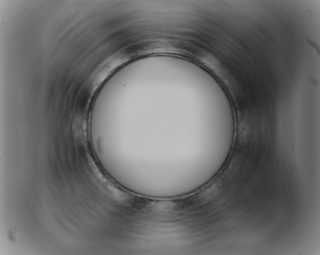 X0000103901282200809191230