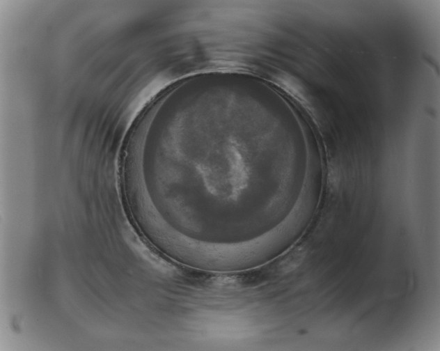 X0000103901283200809191230