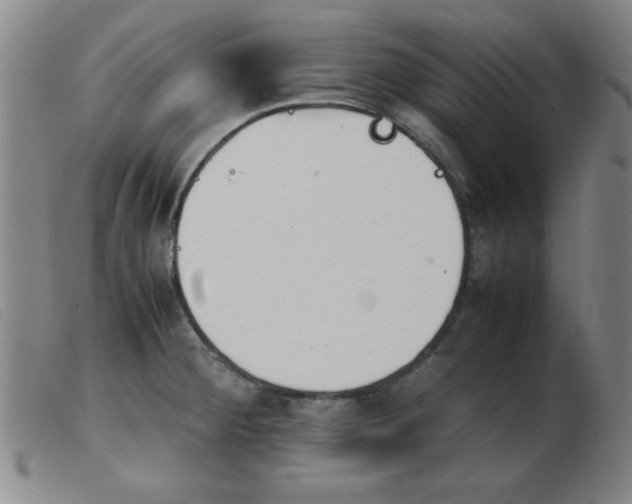 X0000103901284200809191230