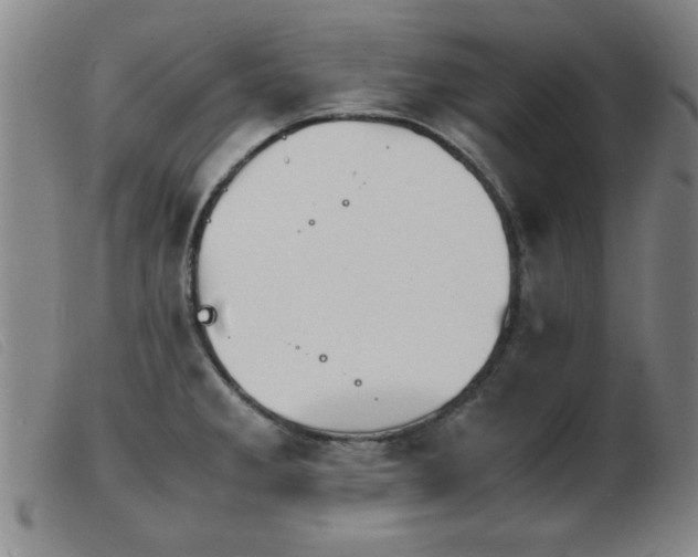 X0000103901285200809191230