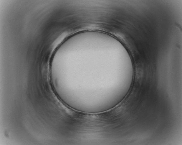X0000103901286200809191230