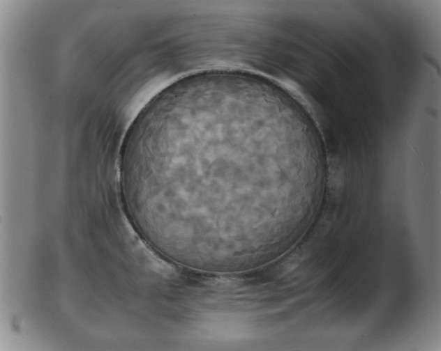 X0000103901287200809191230