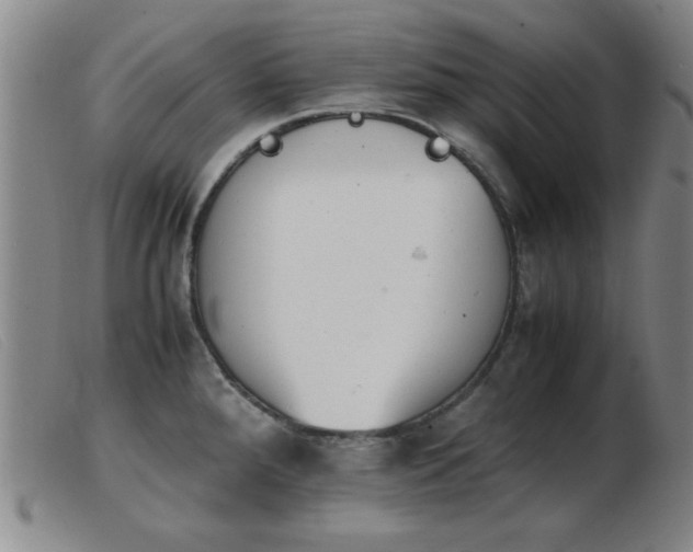 X0000103901288200809191230