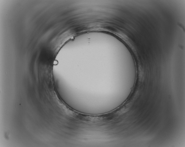 X0000103901289200809191230