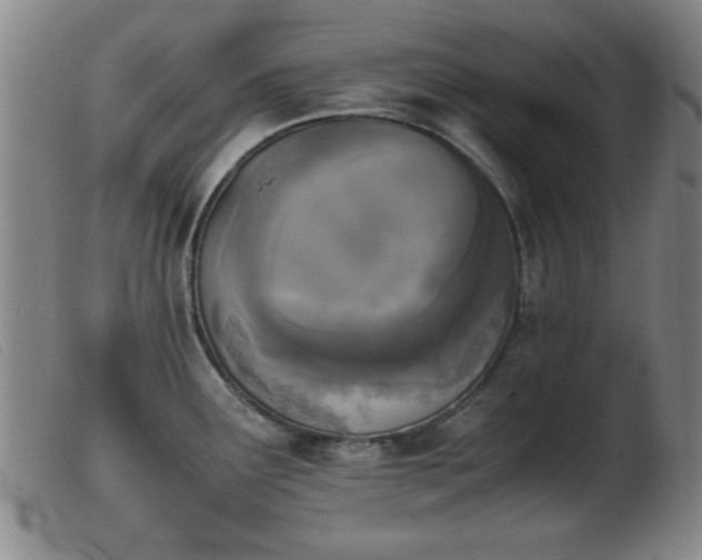 X0000103901291200809191230