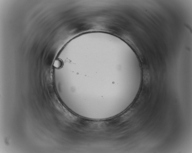 X0000103901292200809191229