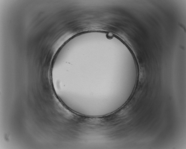 X0000103901293200809191229