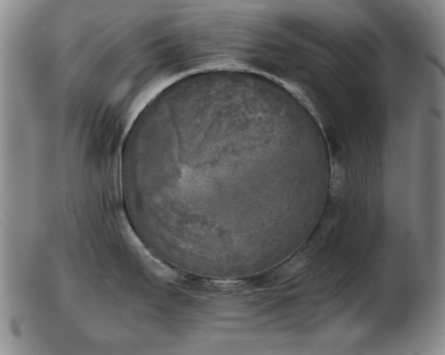X0000103901295200809191229
