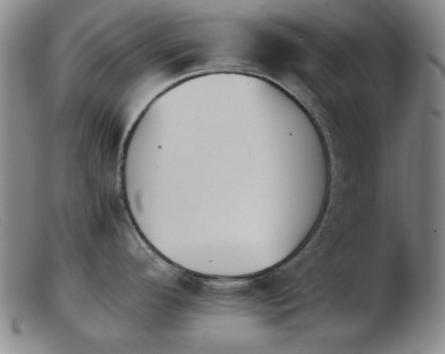 X0000103901296200809191229