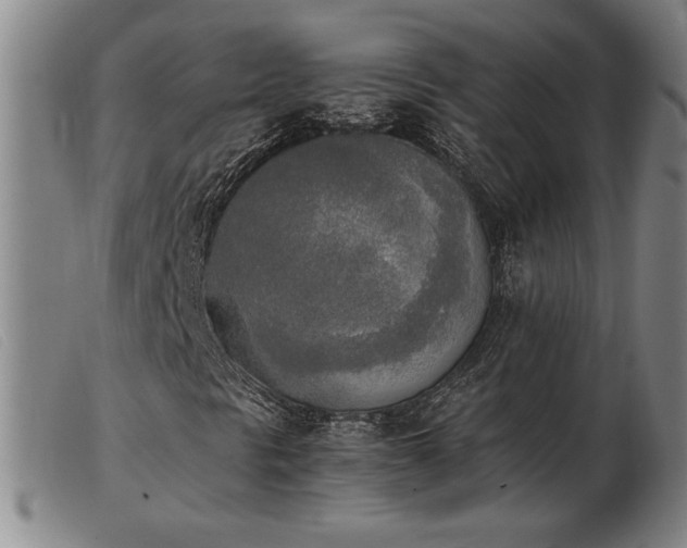X0000103901297200809191229