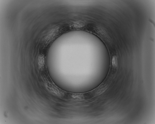X0000103901299200809191229