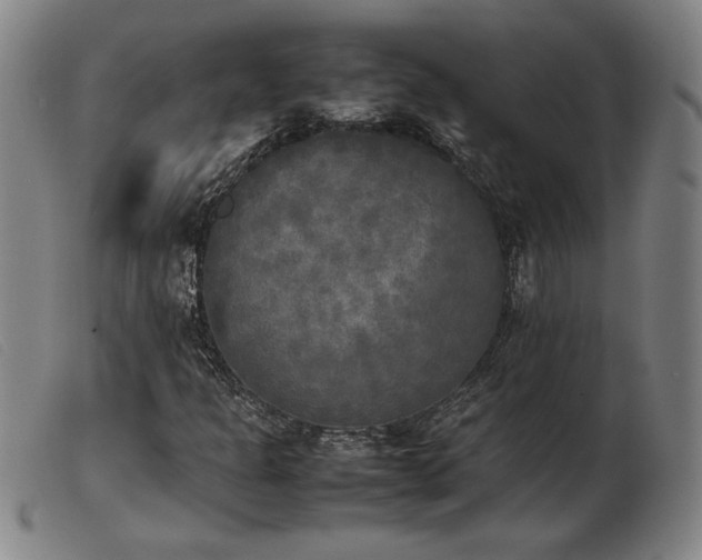 X0000103901301200809191229