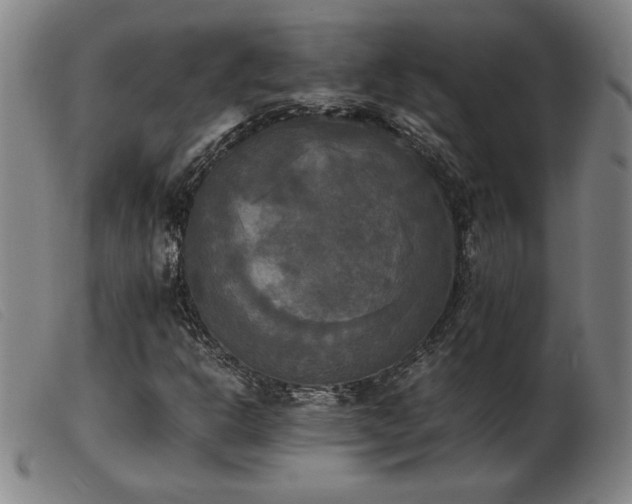 X0000103901302200809191229