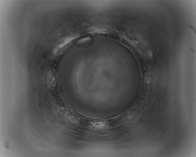 X0000103901303200809191229