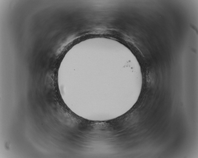 X0000103901304200809191229