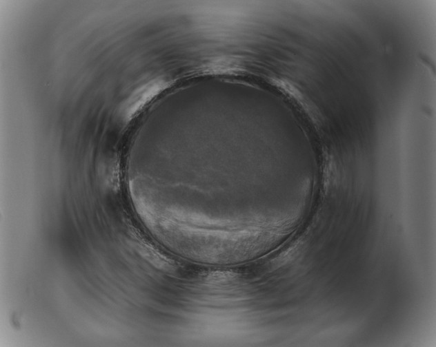 X0000103901306200809191229