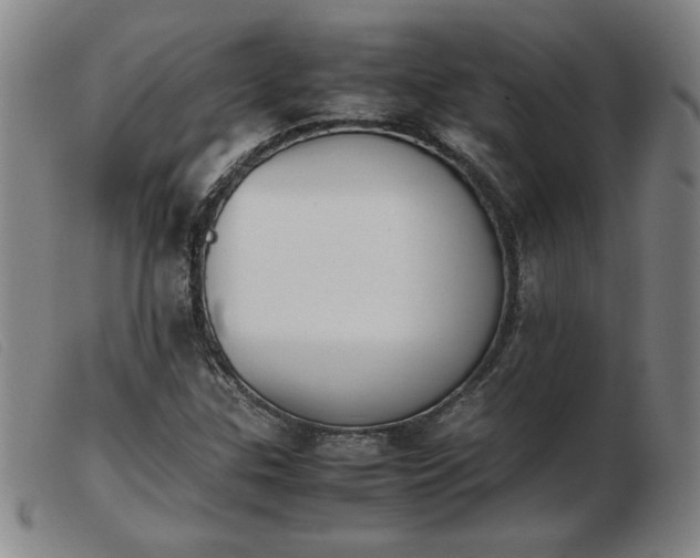 X0000103901307200809191229