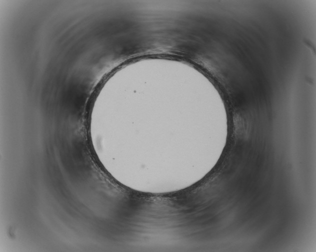 X0000103901308200809191229