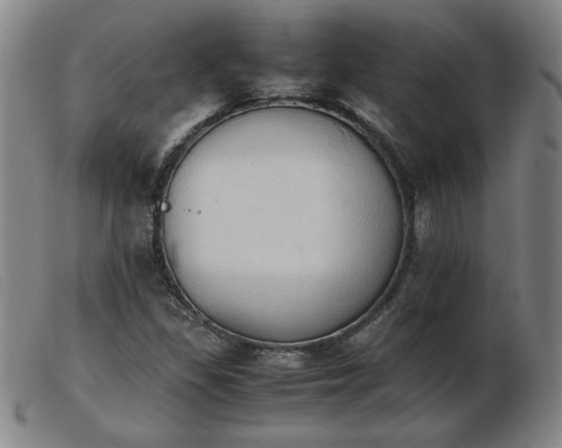 X0000103901309200809191229