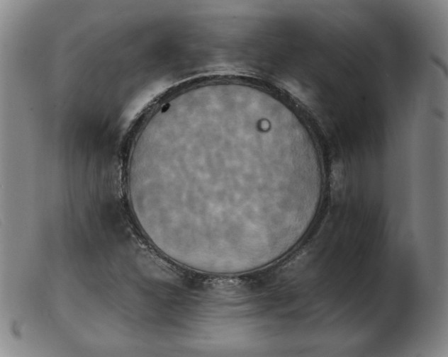 X0000103901310200809191229