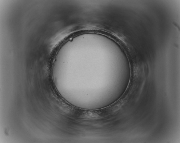 X0000103901311200809191229