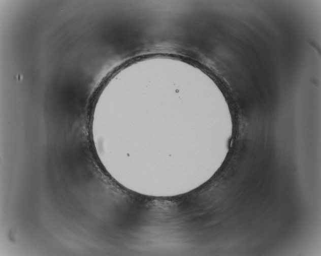 X0000103901312200809191229