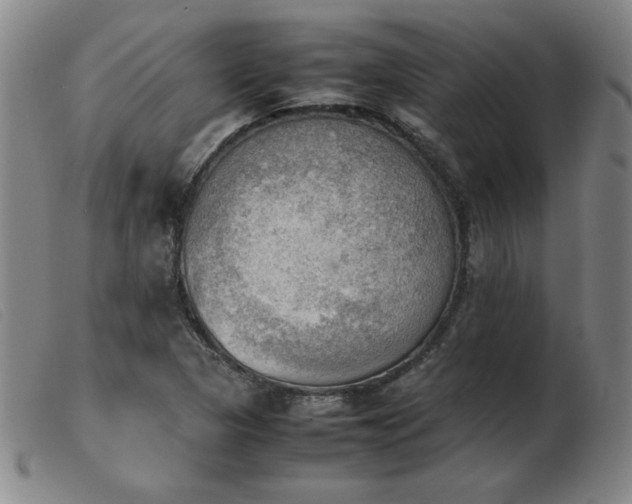 X0000103901313200809191229