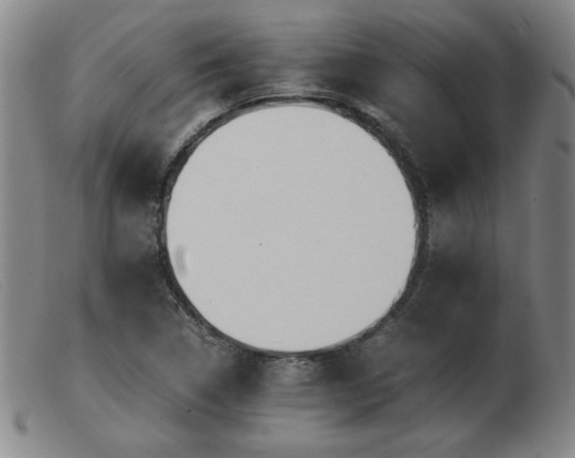 X0000103901314200809191229